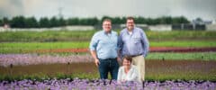 Sterkste Schakel genomineerde: Van Woudenberg Tuinplanten