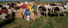 Sterkste Schakel genomineerde: Kaasboerderij De Graaf